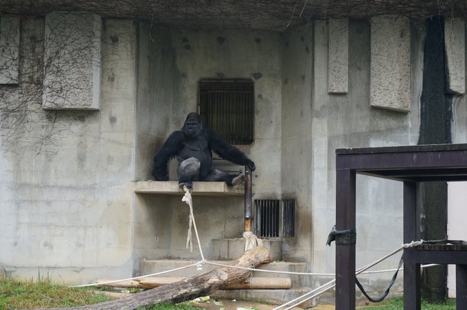 一个人的旅行东京,一个人的名古屋