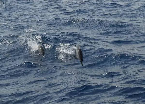 西沙群岛迷人的地方,边疆有个美丽的地方