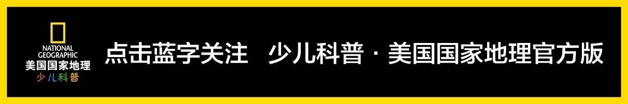 鍥㈣喘鐏北,鐏北鍥㈣喘鎺ㄨ崘鍟嗗搧
