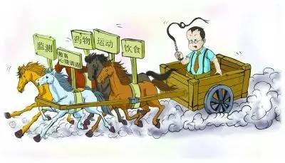 糖尿病管理的五驾马车是什么,驾驭五驾马车有效控制糖尿病