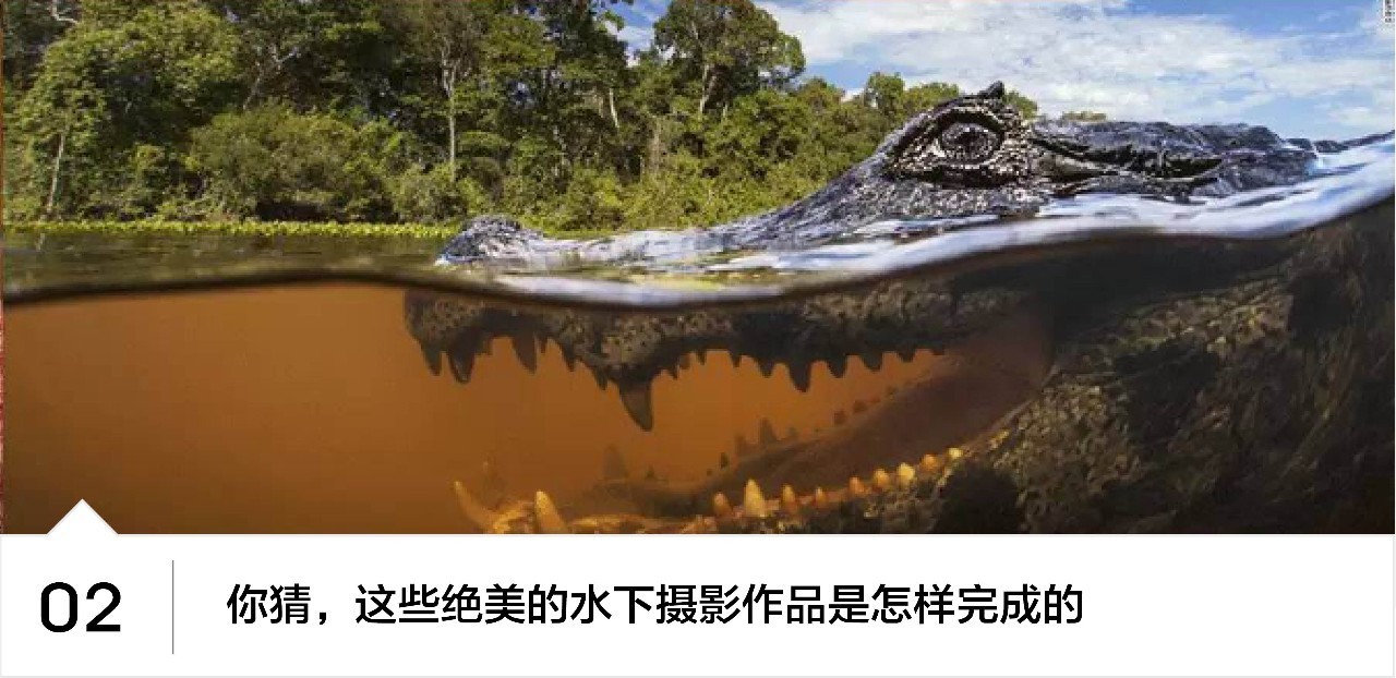 好表一定要背透吗,好表真表帝浪表