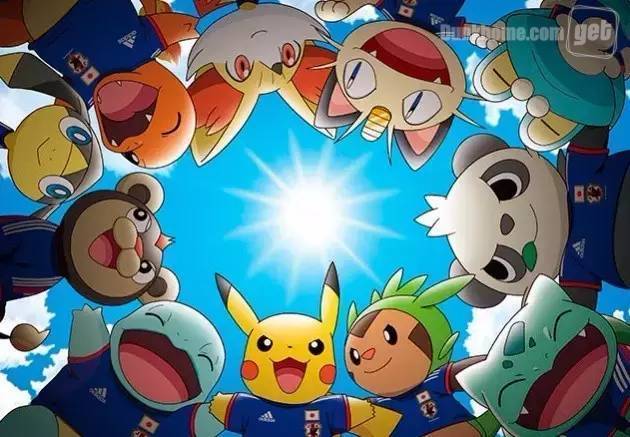 现在抓什么宠物,现在各地都在抓狗吗