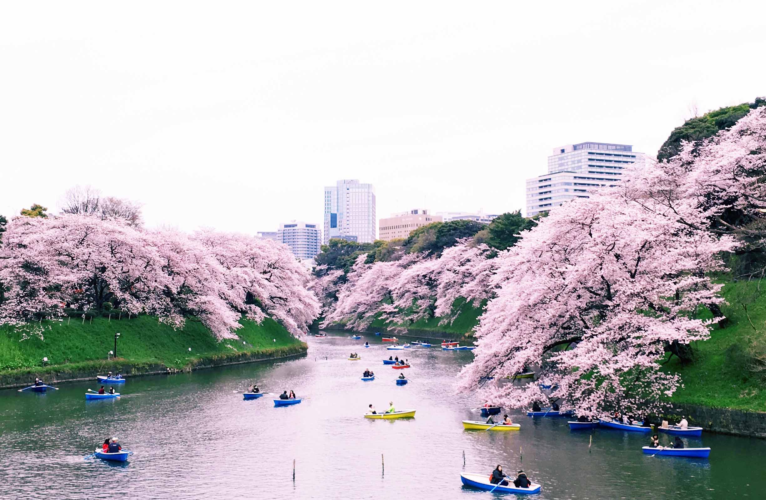 到日本买什么药带回国,到日本买的护肤品怎么带回来
