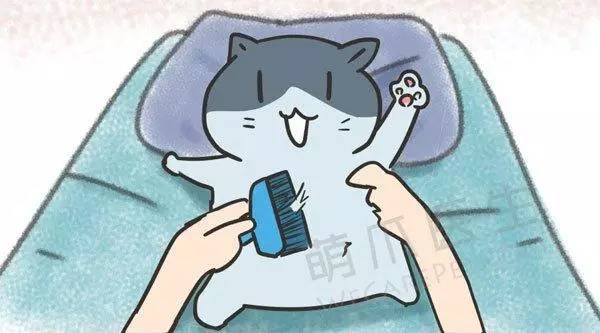 宠物除蚤除螨,有跳蚤用什么药