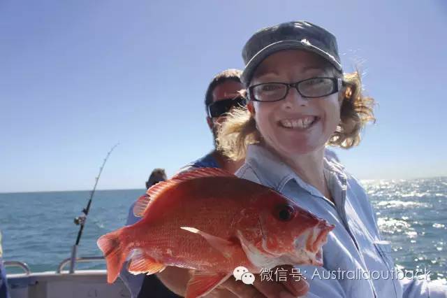 澳洲维珍航空和澳洲航空,澳洲维珍航空商务舱墨尔本飞悉尼