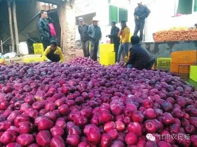 ♨热烈祝贺甘肃农民报创刊65周年武山农民从“不敢想”到“梦成真”