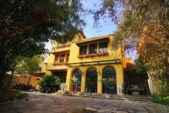 514米长的*安泰**路，留下多少名人的印记