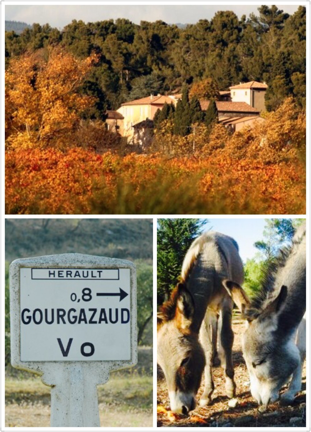 跟着也买酒首席讲师逛法国｜看直播领酒啦！