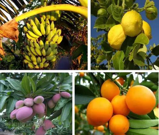 太原投资2000万风情文化节！引来50万只萤火虫！20万只蝴