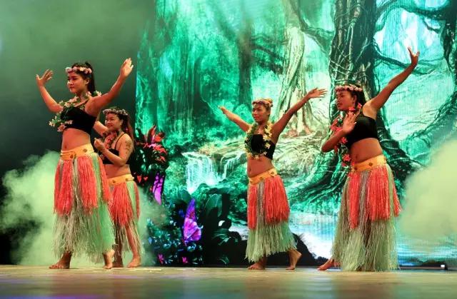 太原投资2000万风情文化节！引来50万只萤火虫！20万只蝴