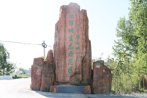 猕猴桃一般是从哪里进来的,你知道猕猴桃是哪来的吗