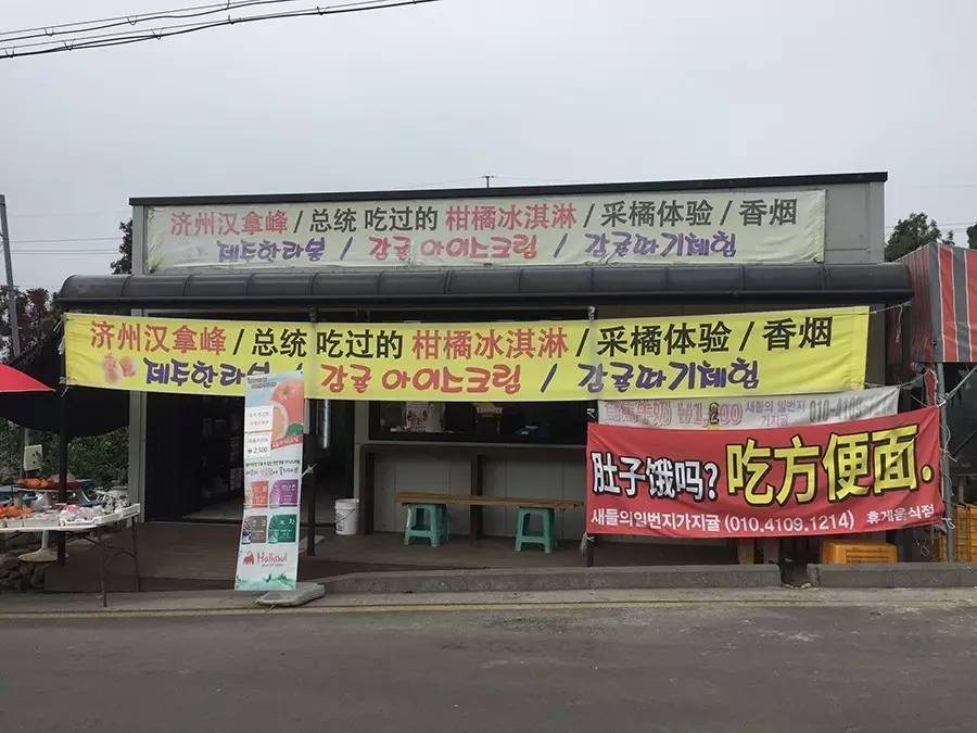 济州岛美食不是只有泡菜和泡饭,韩国济州岛有什么好吃的美食