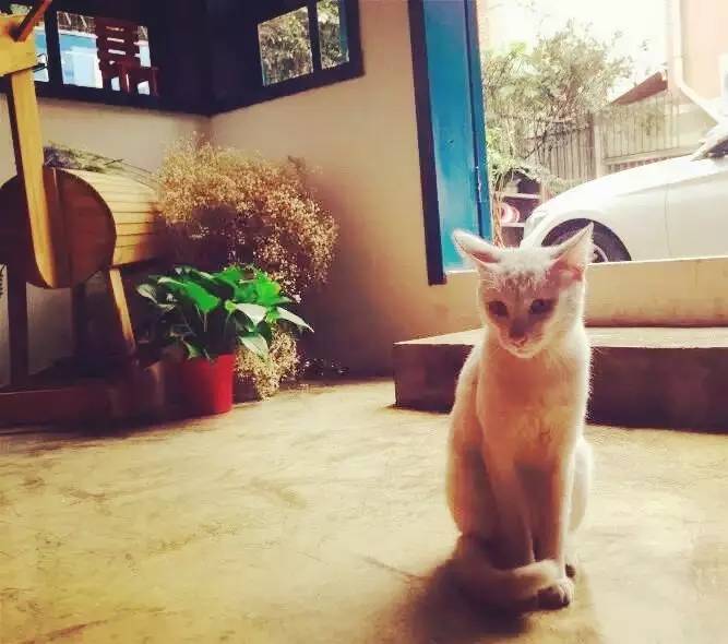 隐藏昆明安静的茶室,昆明文化巷安静的音乐酒馆