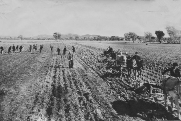 土地集体所有是怎么形成的,国有土地变成集体的