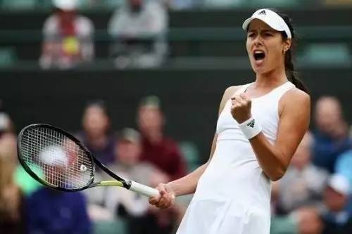 网坛名将伊万诺维奇,伊万诺维奇小猪结婚