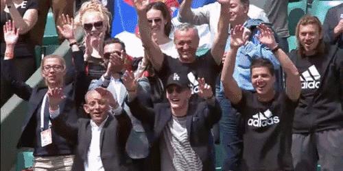 网坛名将伊万诺维奇,伊万诺维奇小猪结婚