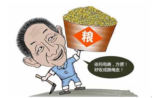 农资电商为什么越来越难,农资电商可以做哪些