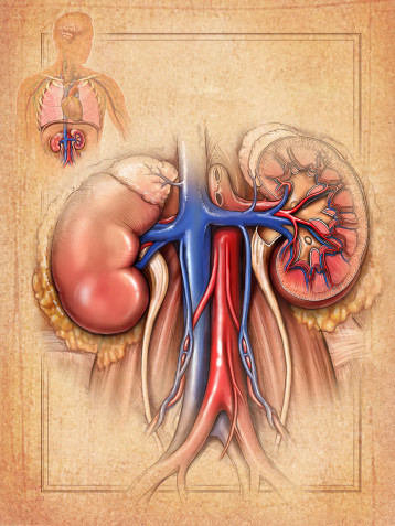 肾病综合征的中医辨证施治,肾病综合症中医辨证治疗
