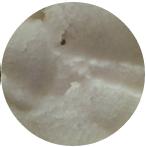 米粉测评一览表,米粉整箱测评