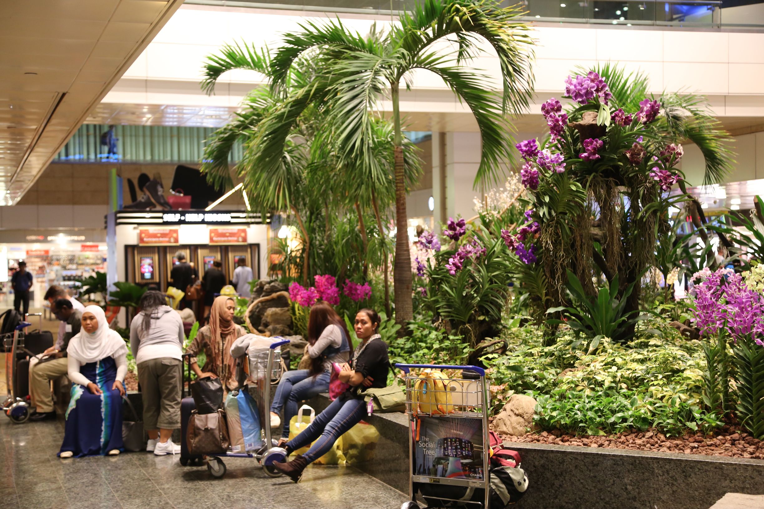 新加坡机场升级攻略超难,新加坡最牛机场