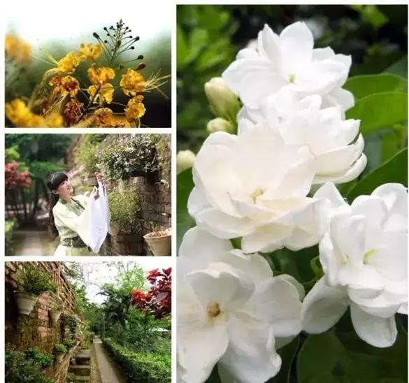 海口休闲度假的10个好去处你一定要知道