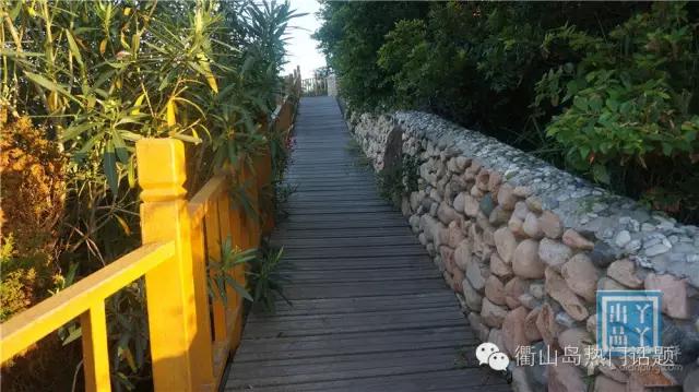 世界那么大我只想去衢山岛看看！