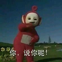 阿拉斯加雪橇犬和哈士奇的区别,阿拉斯加雪橇犬和哈士奇区别