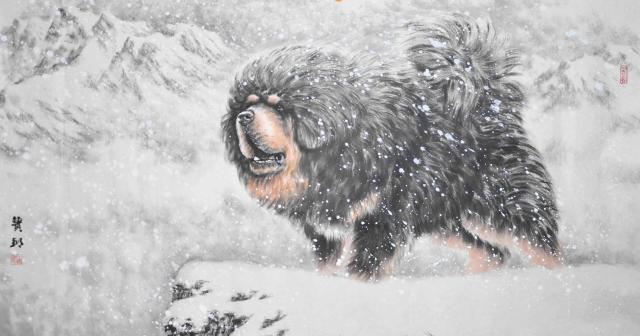 《一万个宠你的方法》爱宠知多少？第十三期：藏獒