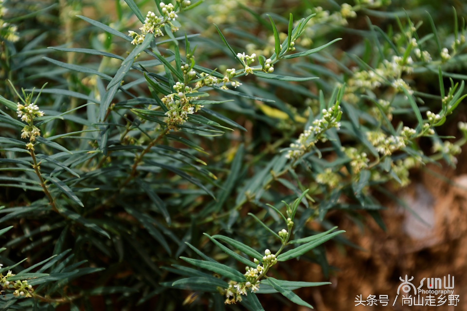 炎炎夏日山中纳凉,炎炎夏日山间小溪带来一丝清凉