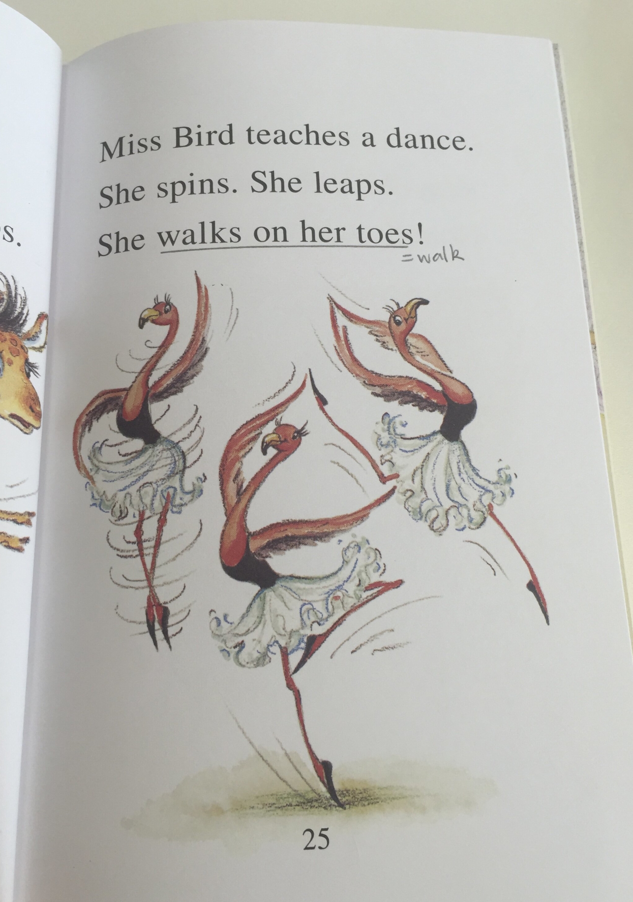 跟小猫Mia绘本学跳舞相关的英文，服装、舞蹈动作应有尽有