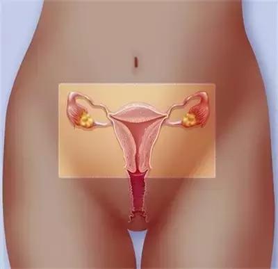 准备要宝宝的女人,准备要宝宝的妈妈们前期怎么调理