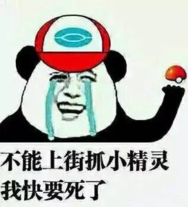 杰尼龟的收服方法,杰尼龟捕捉动画