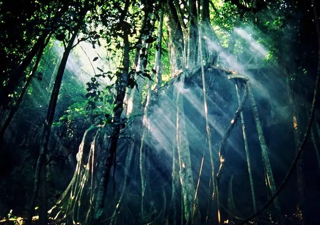 合肥到云南旅游全攻略自由行,合肥出发去云南攻略