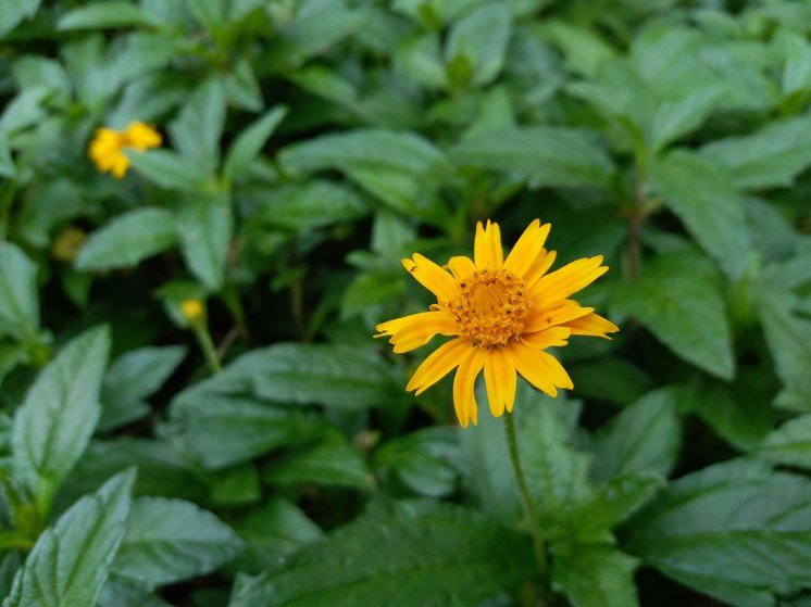 2020年三星note10+值不值得入手,三星新款手机值得买么