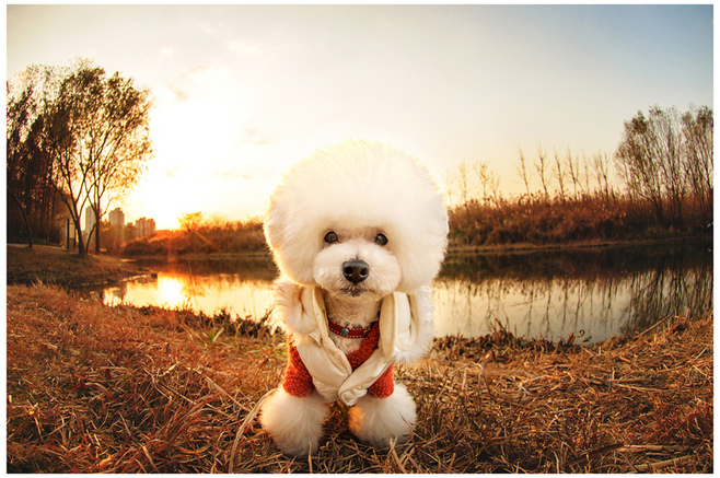 狗子趾间炎好了为什么会脱皮,狗子趾间炎总是反复用什么药