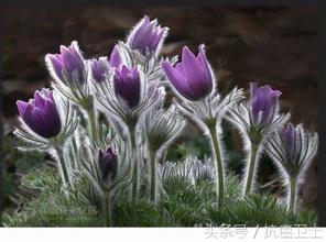 直肠癌出虚汗吃什么药,直肠癌晚期为什么口渴得厉害