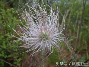 直肠癌出虚汗吃什么药,直肠癌晚期为什么口渴得厉害