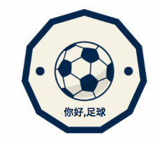 欧洲杯举办的球场,欧洲杯揭幕赛球场