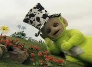 阿拉斯加雪橇犬和哈士奇的区别,阿拉斯加雪橇犬和哈士奇区别