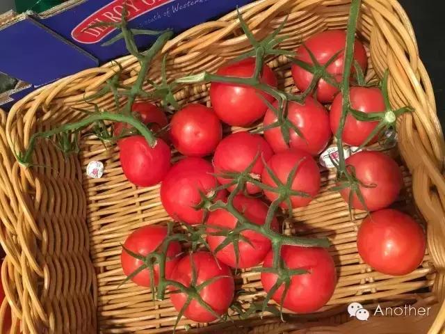 在澳洲租房车,租房车在澳洲