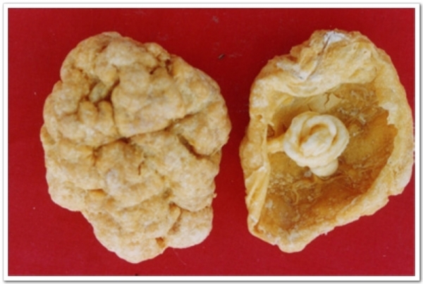 胎盘对肾虚有帮助吗,补肾养精吃羊肉还是牛肉