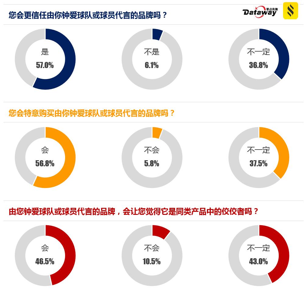 欧洲杯球迷实录,欧洲杯阿迪