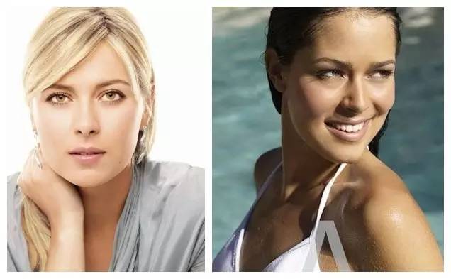 网坛名将伊万诺维奇,伊万诺维奇小猪结婚