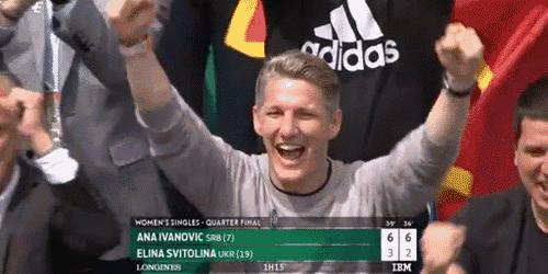 网坛名将伊万诺维奇,伊万诺维奇小猪结婚