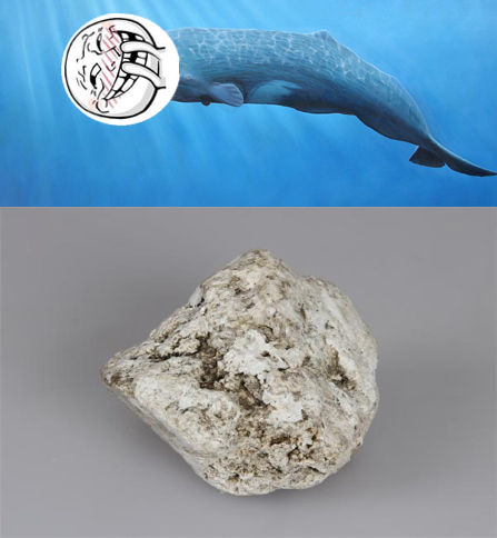 这些屎你曾吃过吗？