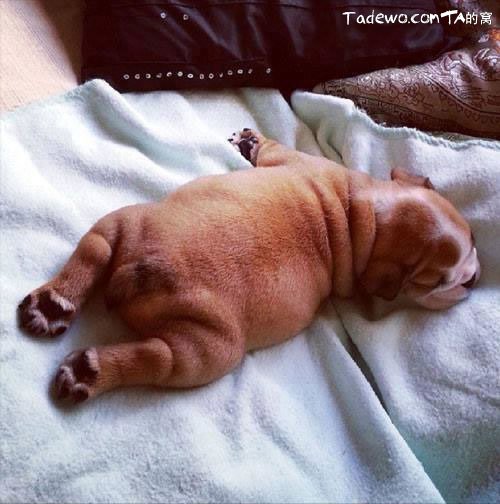 狗子趾间炎好了为什么会脱皮,狗子趾间炎总是反复用什么药