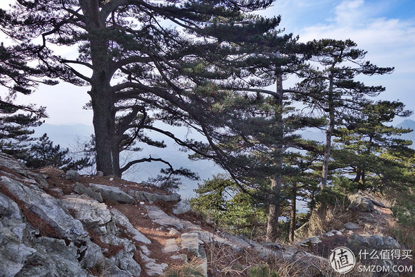 户外运动打底衣评测,icebreaker冲锋衣