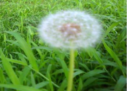 大家抢疯了，听说它对女人非常好