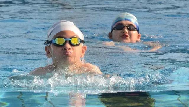 2019浩沙杯青少年游泳冠军赛,第六届厦金青少年游泳大赛