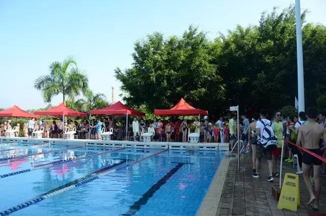 2019浩沙杯青少年游泳冠军赛,第六届厦金青少年游泳大赛